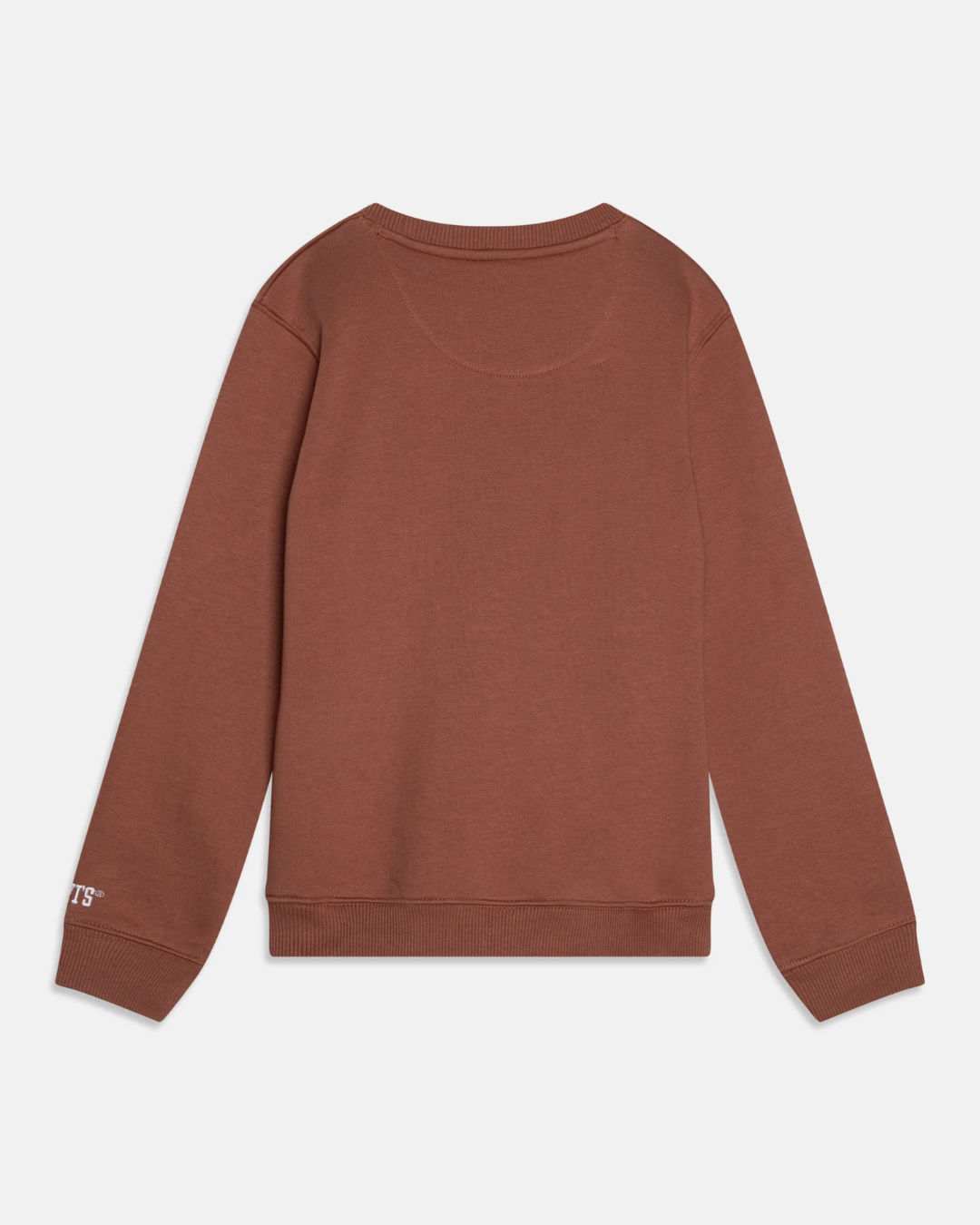 Felpa girocollo Levi's® Bambino marrone