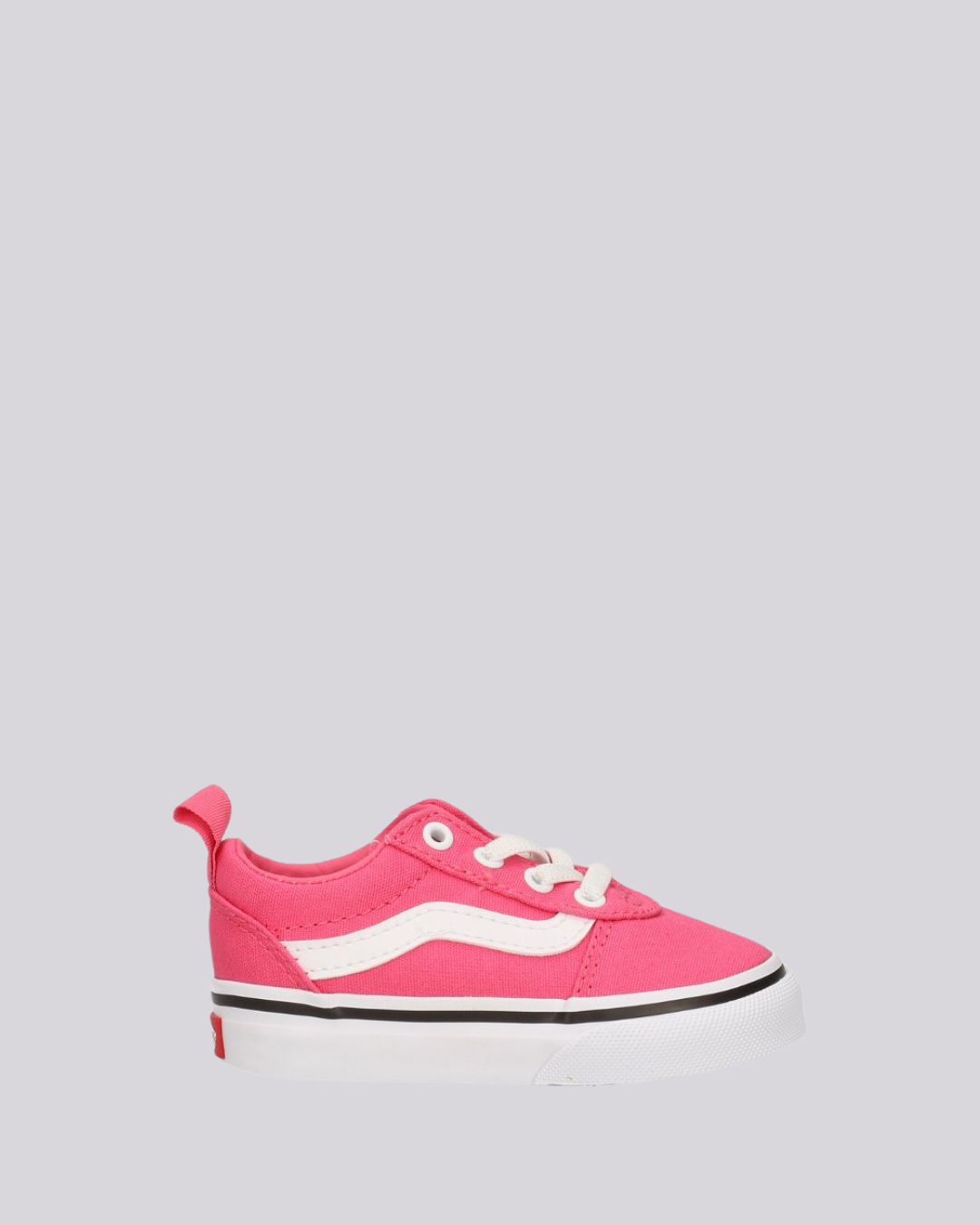 scarpa Vans Ward Slip-on