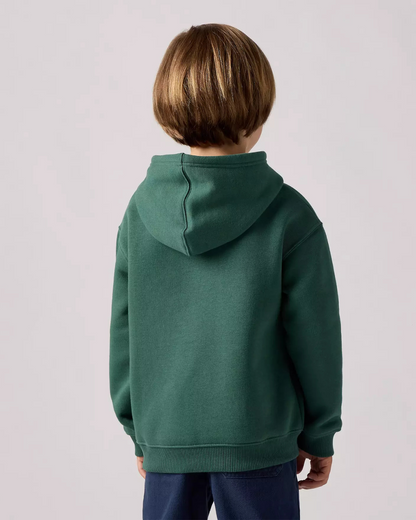 Felpa con cappuccio Levi's® Bambino verde