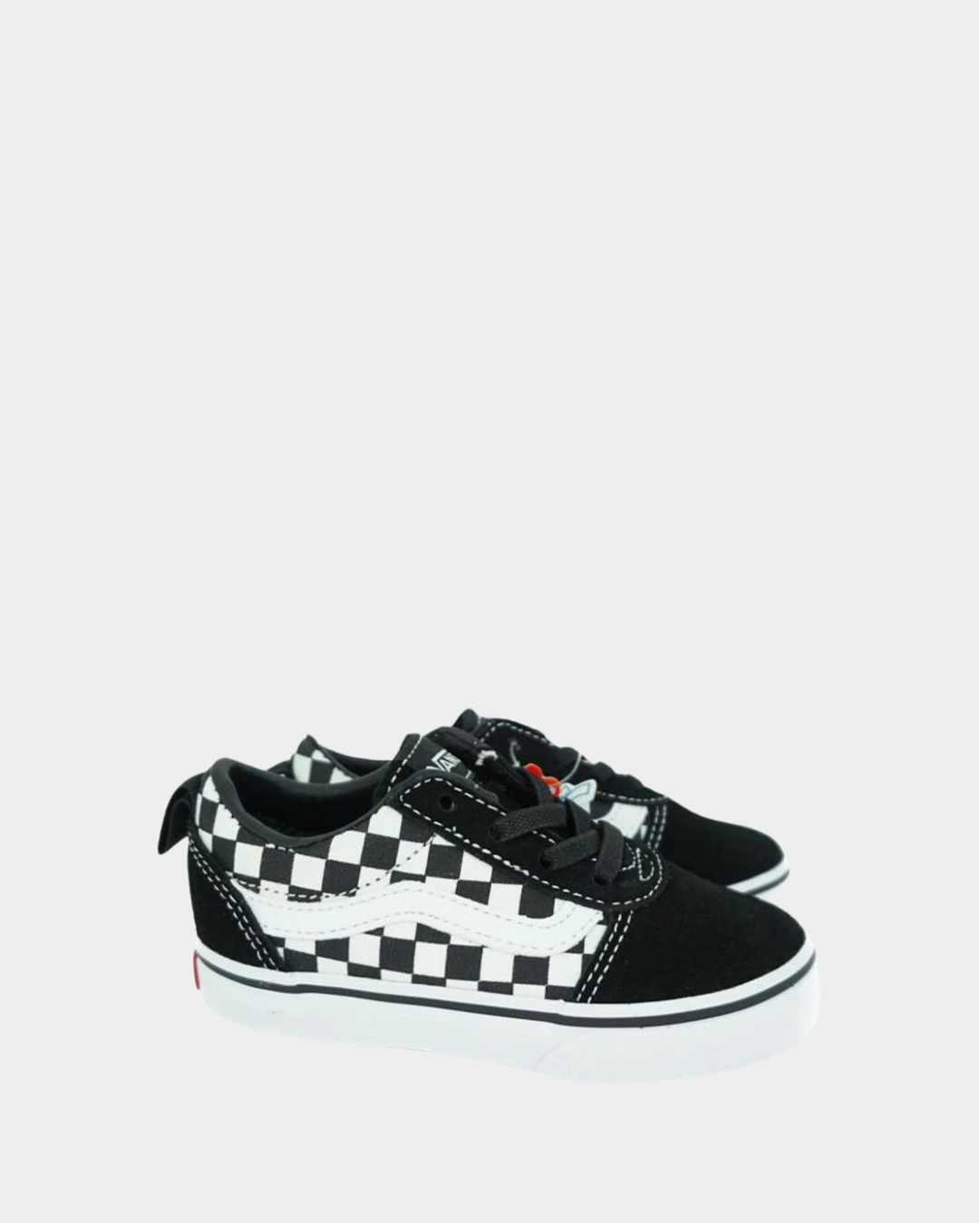 scarpa Vans WARD SLIP-ON